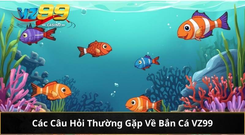 Các Câu Hỏi Thường Gặp Về Bắn Cá VZ99