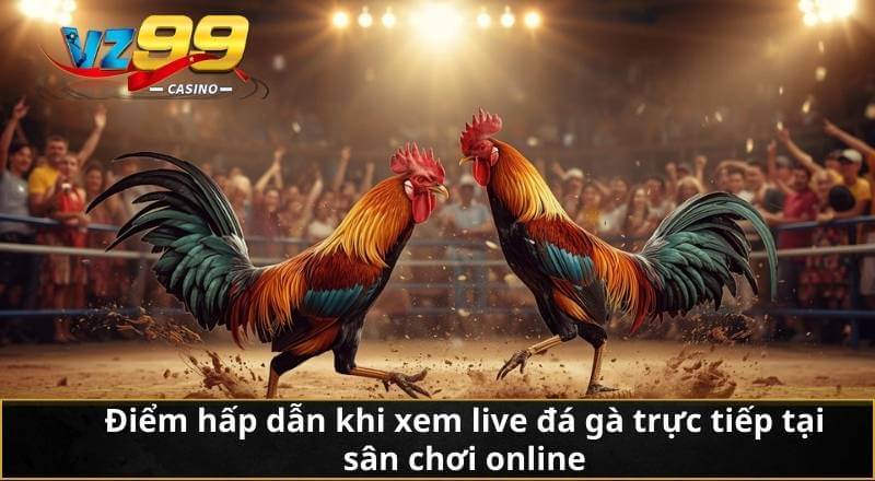 Live Đá Gà Trực Tiếp - Trải Nghiệm Cực Nét, Cược Kịch Tính 4 Điểm hấp dẫn khi xem live đá gà trực tiếp tại sân chơi online